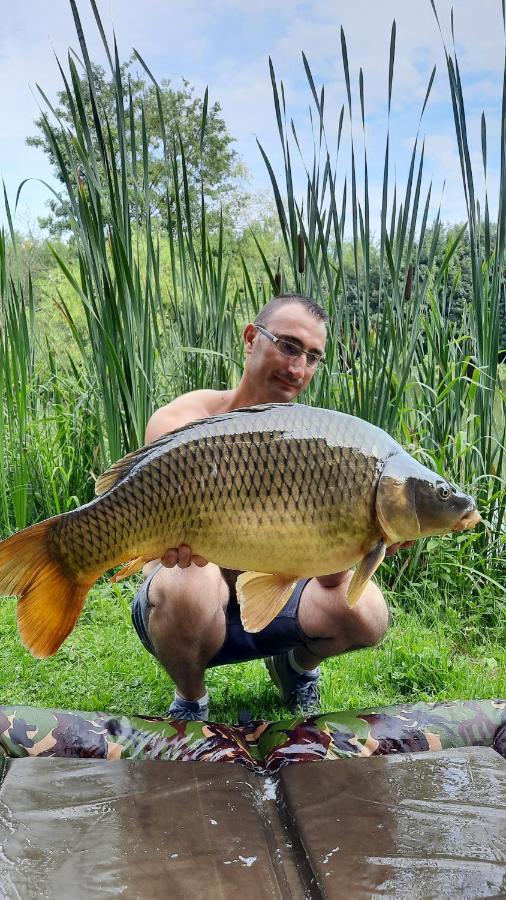 Les Etangs Du Moulin D'Harcy Bed & Breakfast Lonny Bagian luar foto