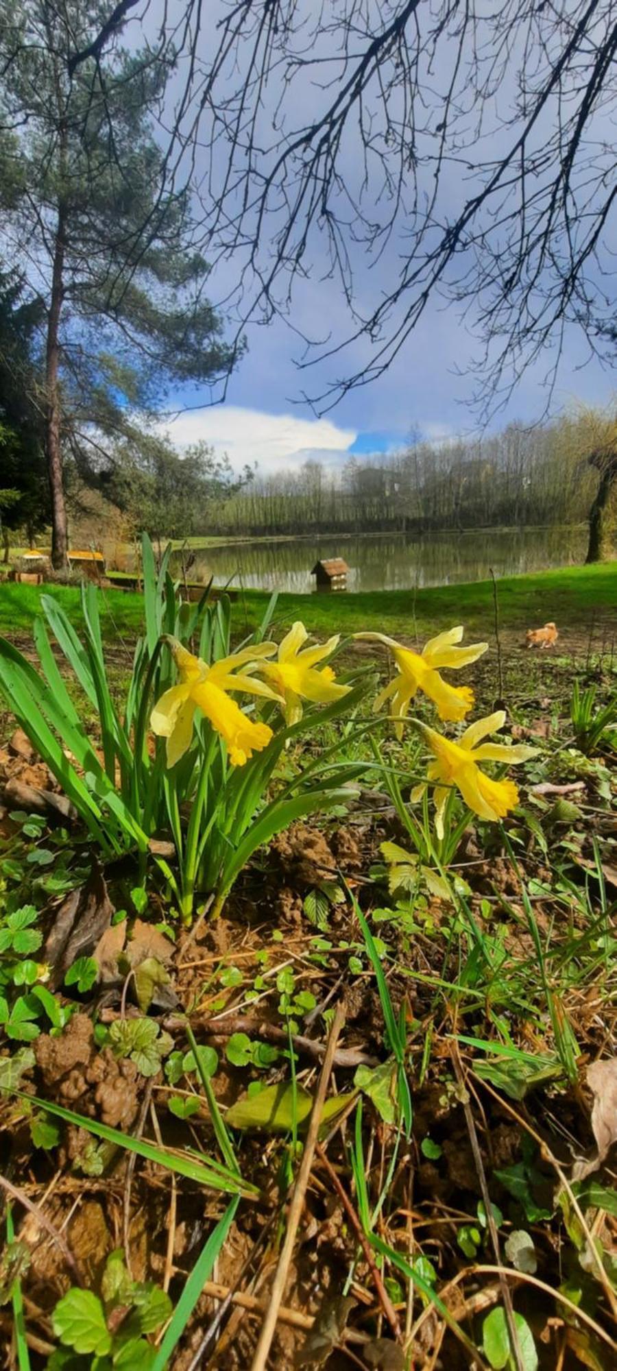 Les Etangs Du Moulin D'Harcy Bed & Breakfast Lonny Bagian luar foto